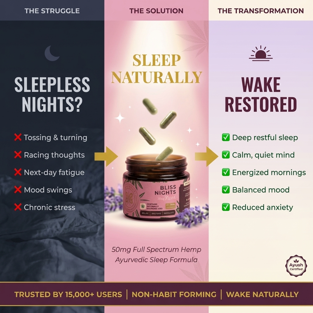 Bliss Nights - Image 8